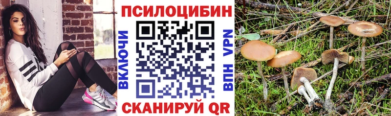 Псилоцибиновые грибы мухоморы  наркошоп  Мостовской 